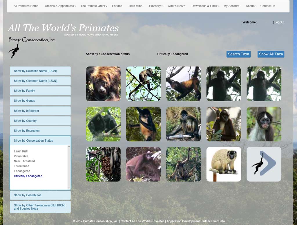 Show Primates by Conservation Status Show Primates by Conservation Status